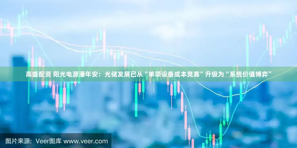 高盛配资 阳光电源潘年安：光储发展已从“单项设备成本竞赛”升级为“系统价值博弈”