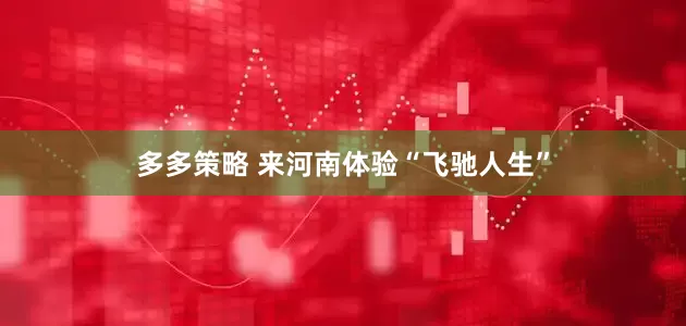 多多策略 来河南体验“飞驰人生”